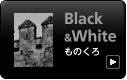 モノクロ 写真