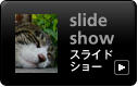 スライドショー 写真